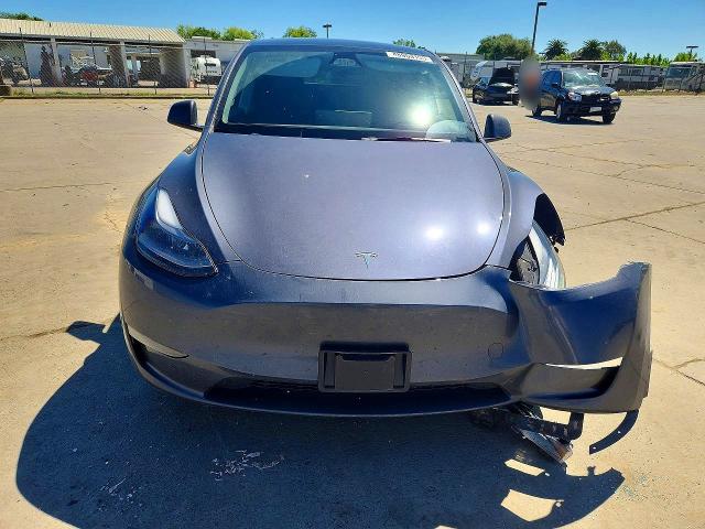 Продаж на аукціоні авто 2023 Tesla Model Y, vin: 7SAYGDEE6PF971772, номер лоту: 48653156
