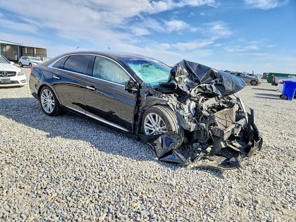 Продаж на аукціоні авто 2019 Cadillac Xts, vin: 2G61M5S34K9109263, номер лоту: 50783986