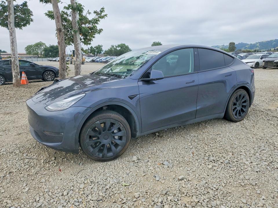 48935556 :رقم المزاد ، 5YJYGDEEXMF138789 vin ، 2021 Tesla Model Y مزاد بيع
