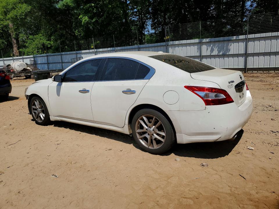2010 Nissan Maxima მანქანა იყიდება აუქციონზე, vin: 1N4AA5AP1AC834407, აუქციონის ნომერი: 50665546