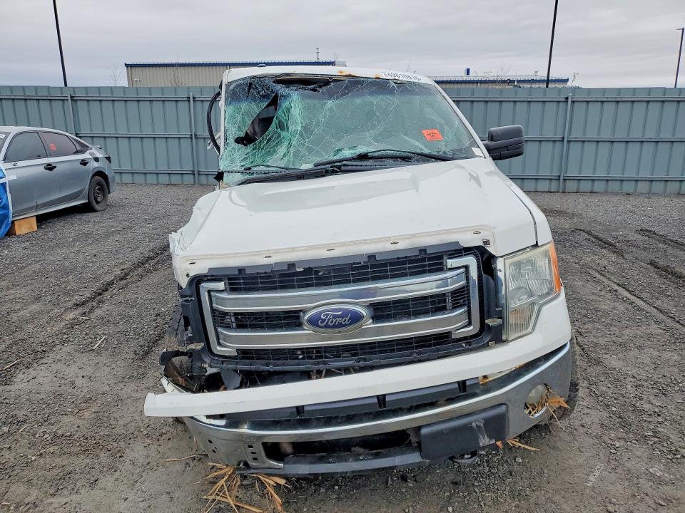 Продаж на аукціоні авто 2014 Ford F150, vin: 1FTVX1EF9EKD65020, номер лоту: 49818816