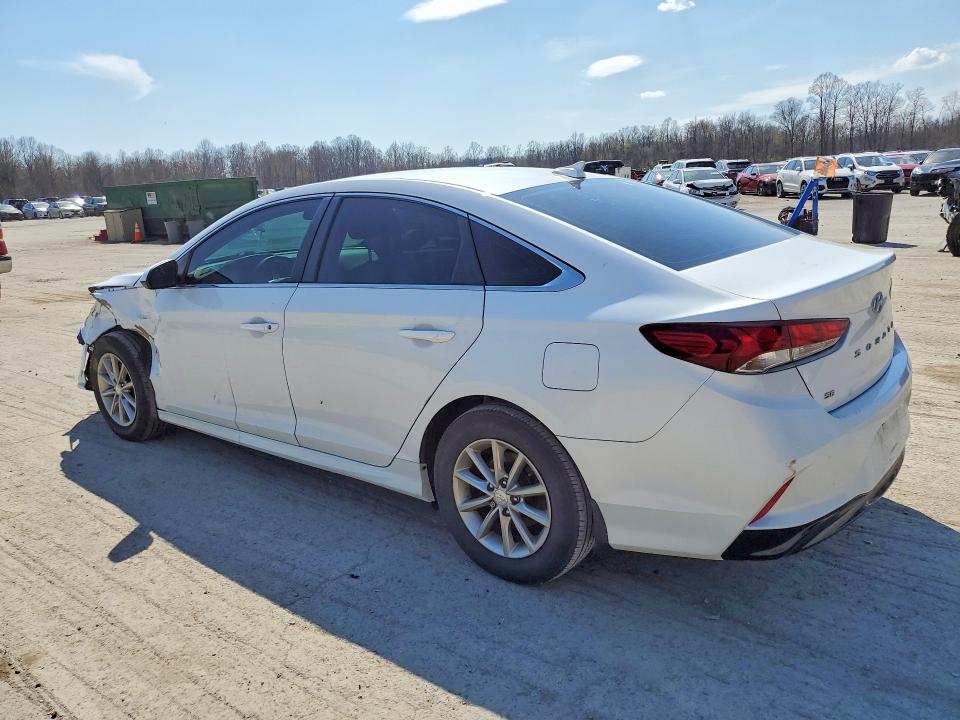 Продаж на аукціоні авто 2019 Hyundai Sonata, vin: 5NPE24AF5KH814922, номер лоту: 49096886