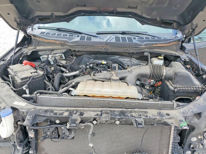 Продаж на аукціоні авто 2023 Ford F150, vin: 1FTEW1CP7PKE36040, номер лоту: 51070746