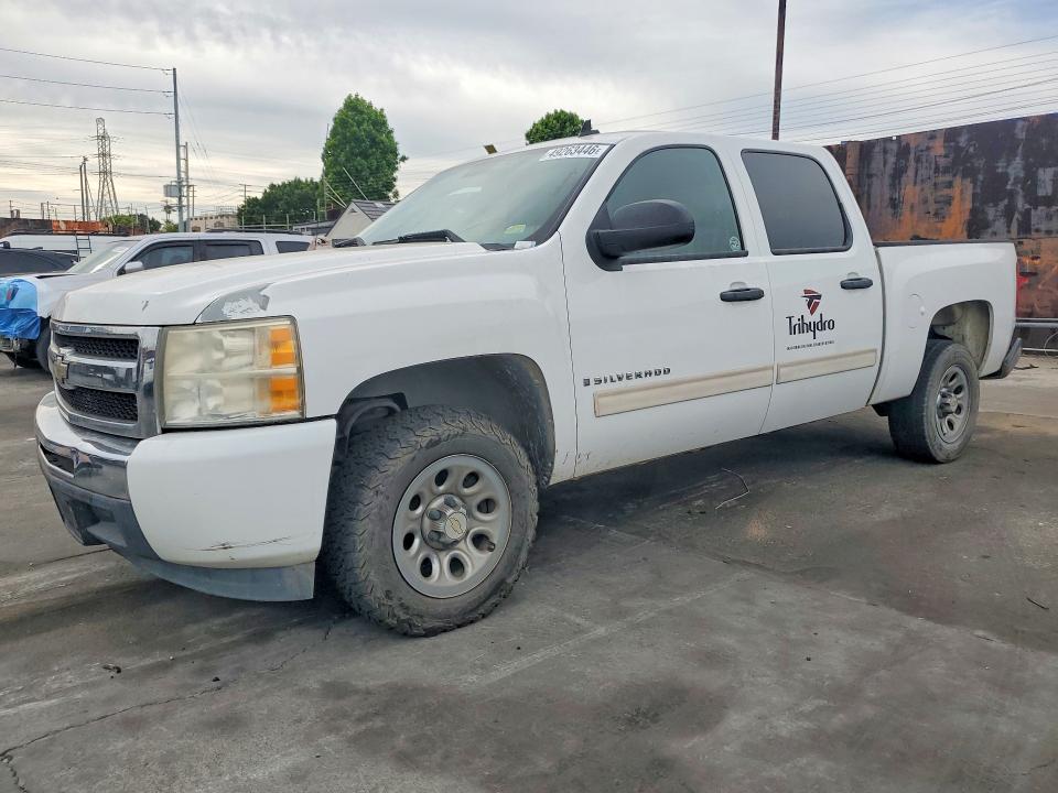 49263446 :رقم المزاد ، 3GCEC13C49G191424 vin ، 2009 Chevrolet Silverado مزاد بيع