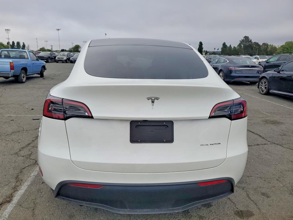 Продаж на аукціоні авто 2024 Tesla Model Y, vin: 7SAYGAEE2RF054149, номер лоту: 49098196