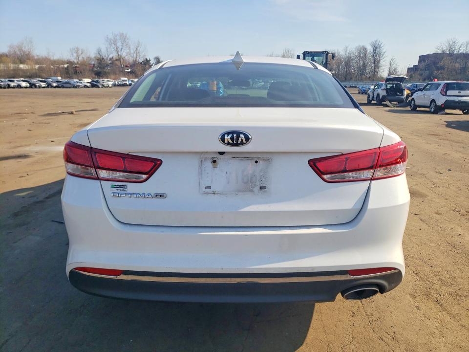 49307506 :رقم المزاد ، 5XXGT4L3XGG043191 vin ، 2016 Kia Optima مزاد بيع