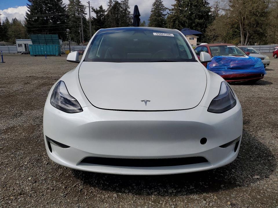 Продаж на аукціоні авто 2024 Tesla Model Y, vin: 7SAYGAEE1RF988979, номер лоту: 49667596