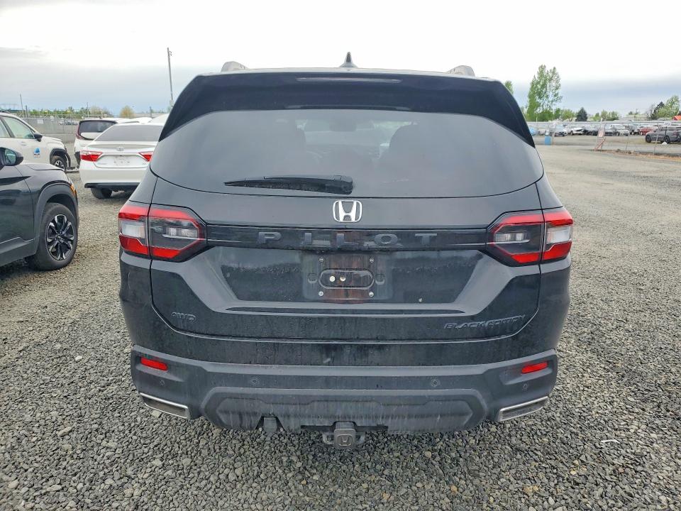 50341266 :رقم المزاد ، 5FNYG1H92SB018446 vin ، 2025 Honda Pilot مزاد بيع