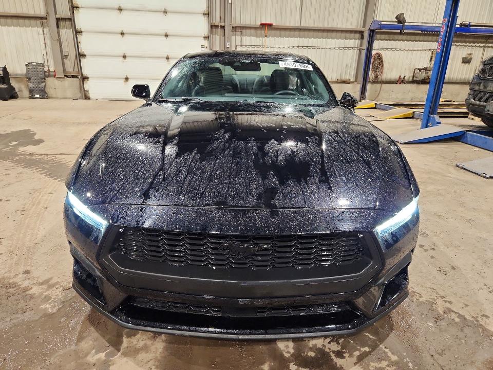 Продажа на аукционе авто 2024 Ford Mustang, vin: 1FA6P8TH5R5104074, номер лота: 49307686