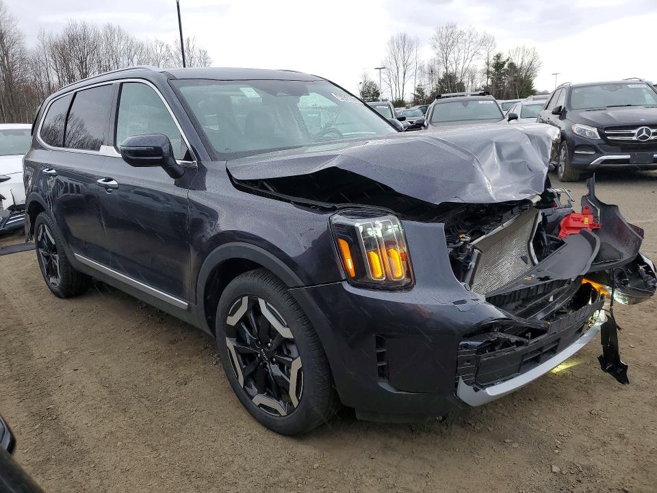 Aukcja sprzedaży 2025 Kia Telluride, vin: 5XYP6DGC6SG604380, numer aukcji: 48436826