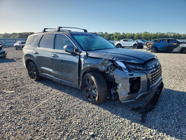 Продаж на аукціоні авто 2025 Hyundai Palisade, vin: KM8R34GE9SU901740, номер лоту: 49904686