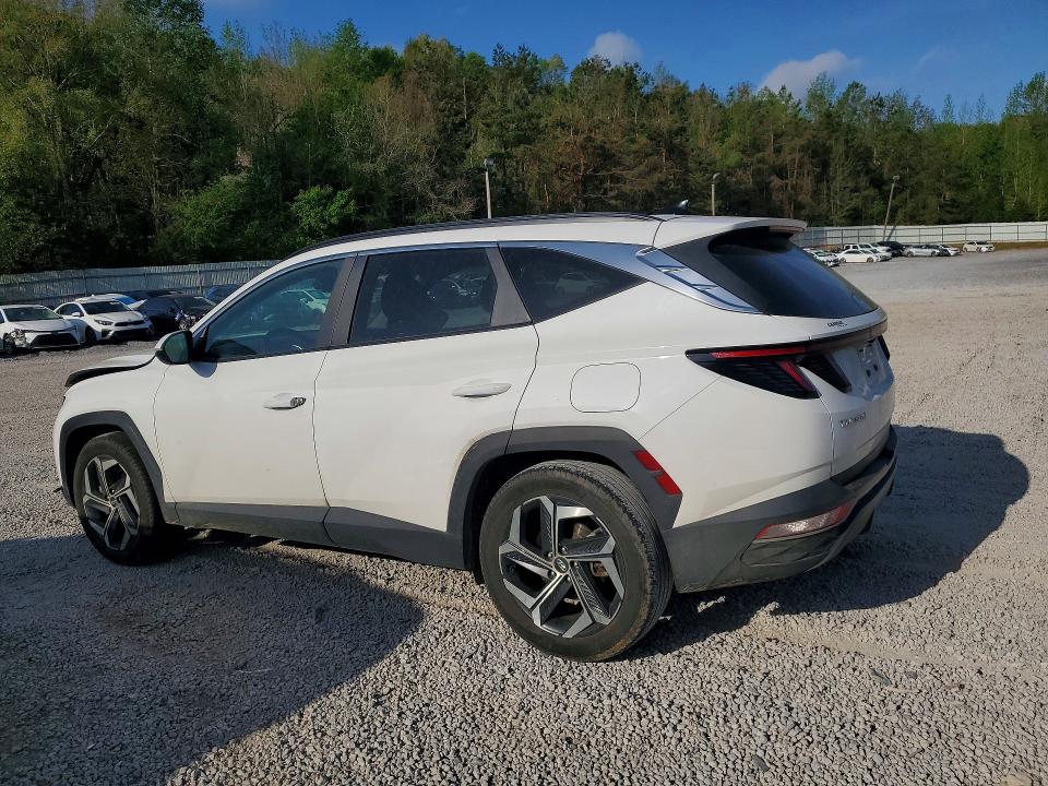 Продаж на аукціоні авто 2023 Hyundai Tucson, vin: 5NMJF3AE7PH186001, номер лоту: 48511346