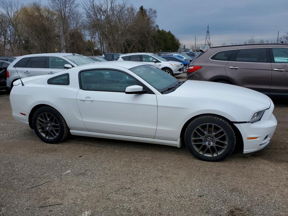 Продаж на аукціоні авто 2014 Ford Mustang 2dr, vin: 1ZVBP8AM8E5323384, номер лоту: 48687356
