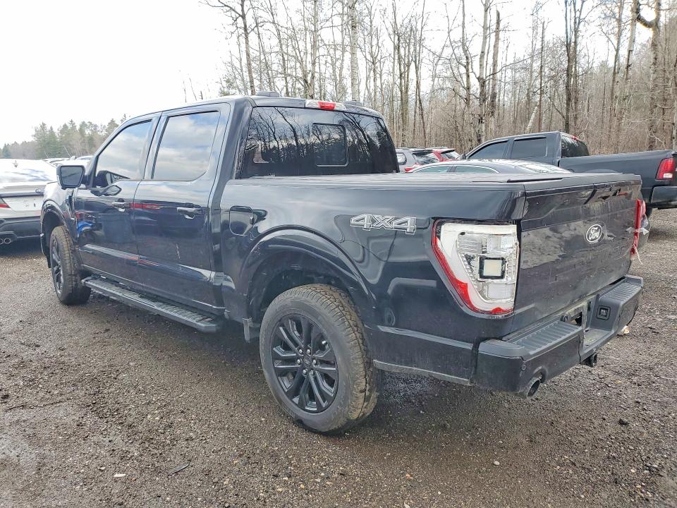 2025 Ford F150 მანქანა იყიდება აუქციონზე, vin: 1FTEW3LP3SKF25947, აუქციონის ნომერი: 49274966
