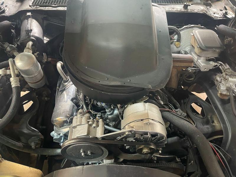 Продаж на аукціоні авто 1981 Pontiac Firebird, vin: 1G2AW87W5BL105229, номер лоту: 51724796