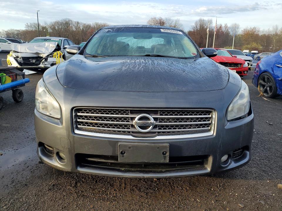 Продажа на аукционе авто 2010 Nissan Maxima, vin: 1N4AA5AP1AC857508, номер лота: 50250456