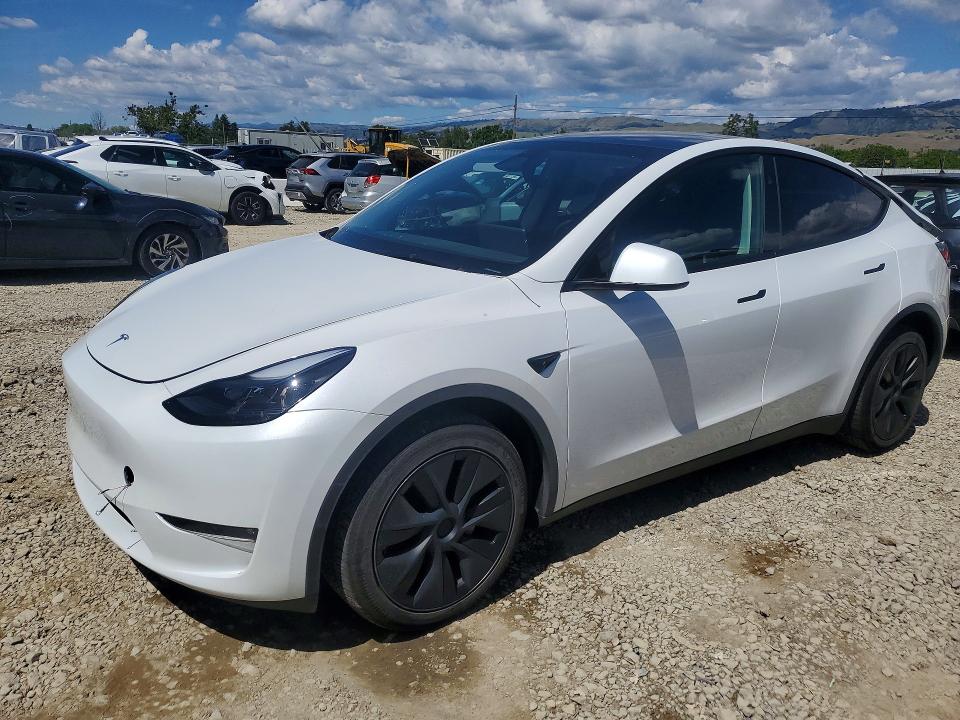Продаж на аукціоні авто 2024 Tesla Model Y, vin: 7SAYGDEE8RF185636, номер лоту: 51249676