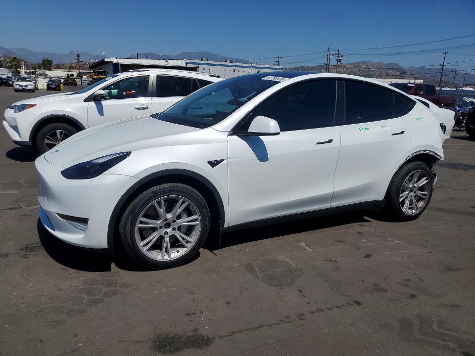 Продаж на аукціоні авто 2023 Tesla Model Y, vin: 7SAYGDEE8PF804507, номер лоту: 50780686