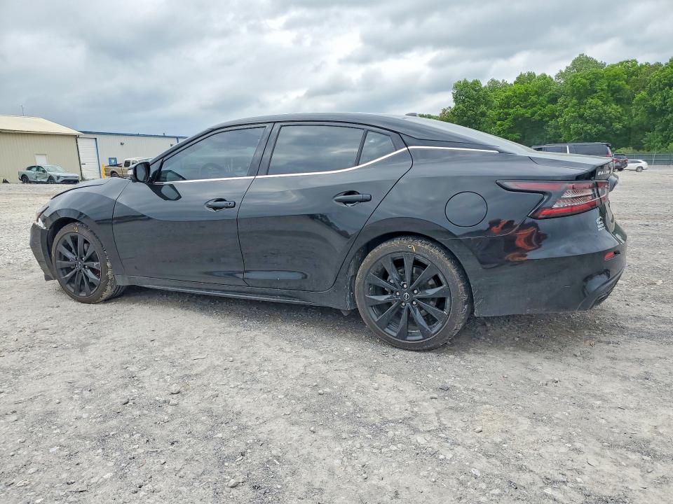 Продаж на аукціоні авто 2023 Nissan Maxima, vin: 1N4AA6EV1PC512213, номер лоту: 51200536