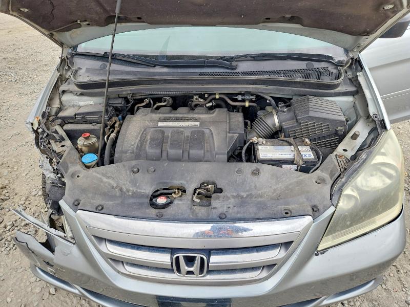 Продаж на аукціоні авто 2007 Honda Odyssey, vin: 5FNRL38717B058342, номер лоту: 51858866