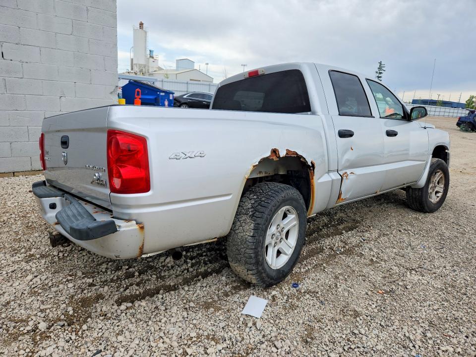 2010 Dodge Dakota მანქანა იყიდება აუქციონზე, vin: 1D7CW3GK6AS244719, აუქციონის ნომერი: 51034126