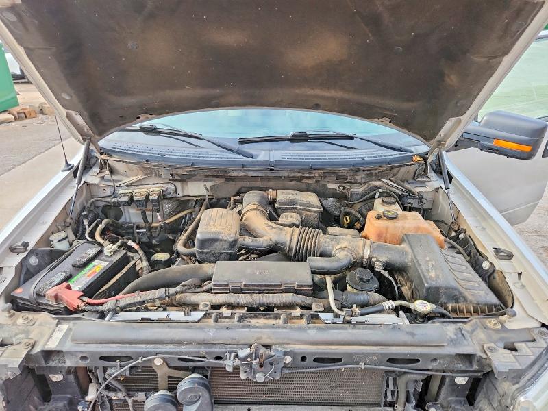 Auction sale of the 2010 Ford F150, vin: 1FTFW1EV7AKC19594, lot number: 51971216