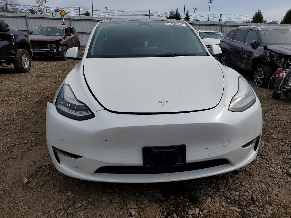 Продажа на аукционе авто 2021 Tesla Model Y, vin: 5YJYGAEE3MF191025, номер лота: 49763176