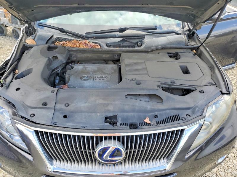 Продажа на аукционе авто 2010 Lexus Rx, vin: JTJZB1BA0A2003691, номер лота: 51653606