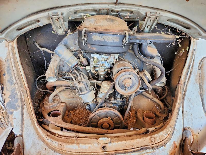 Auction sale of the 1969 Volkswagen Beetle, vin: 119873297, lot number: 50843186