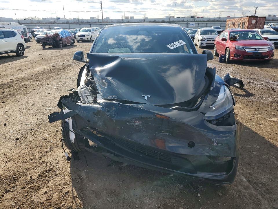 Продажа на аукционе авто 2024 Tesla Model Y, vin: 7SAYGDEF7RF036479, номер лота: 48867756