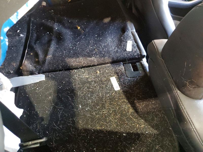 Продаж на аукціоні авто 2026 Tesla Model 3, vin: 5YJ3E1EA8TF144259, номер лоту: 50361096