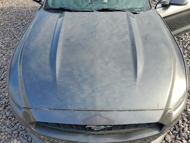 49641226 :رقم المزاد ، 1FATP8UH7H5204256 vin ، 2017 Ford Mustang مزاد بيع