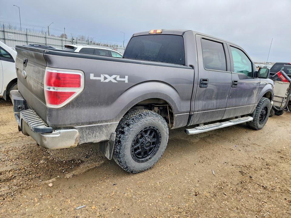 50527496 :رقم المزاد ، 1FTEW1E82AFC41033 vin ، 2010 Ford F150 مزاد بيع
