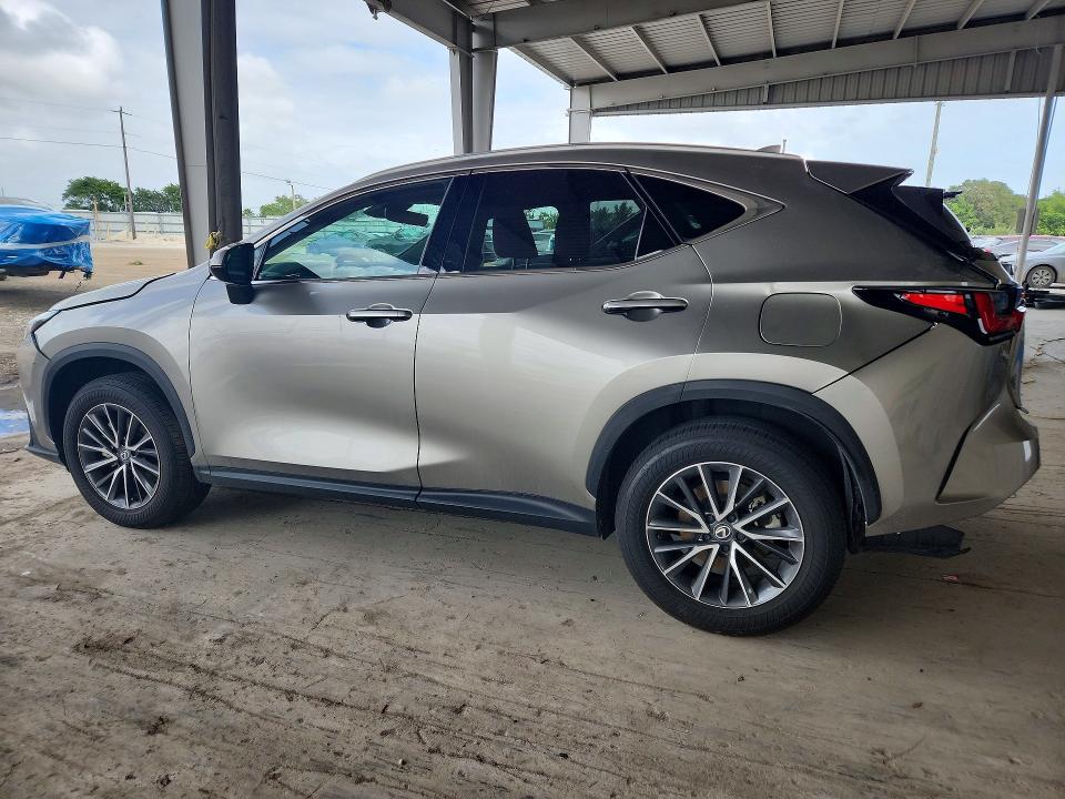 Продажа на аукционе авто 2025 Lexus Nx 250, vin: 2T2ADCAZ1SC018745, номер лота: 48184466