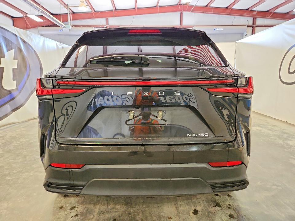 49965816 :رقم المزاد ، 2T2ADCAZ3NC001532 vin ، 2022 Lexus Nx مزاد بيع
