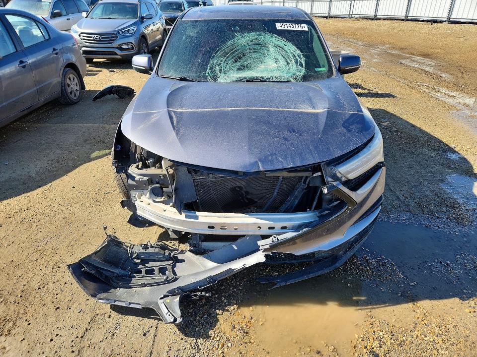 Продажа на аукционе авто 2019 Acura Rdx, vin: 5J8TC2H69KL805815, номер лота: 49143726