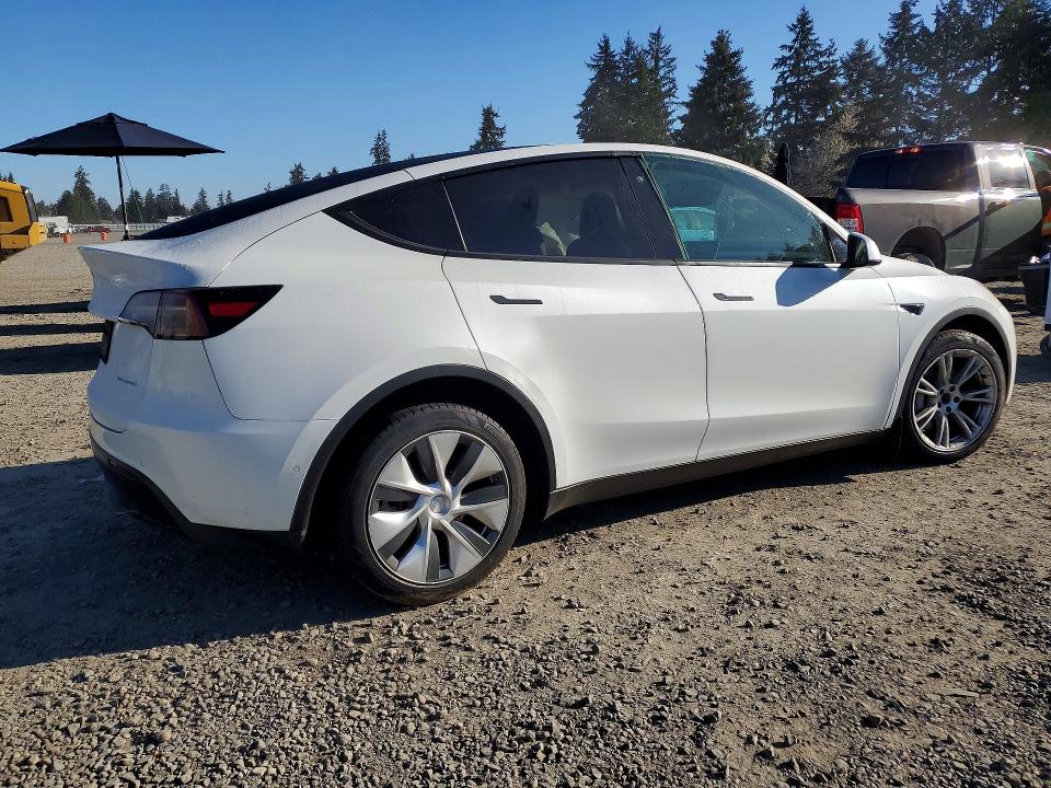 48691456 :رقم المزاد ، 5YJYGDEE1MF242829 vin ، 2021 Tesla Model Y مزاد بيع
