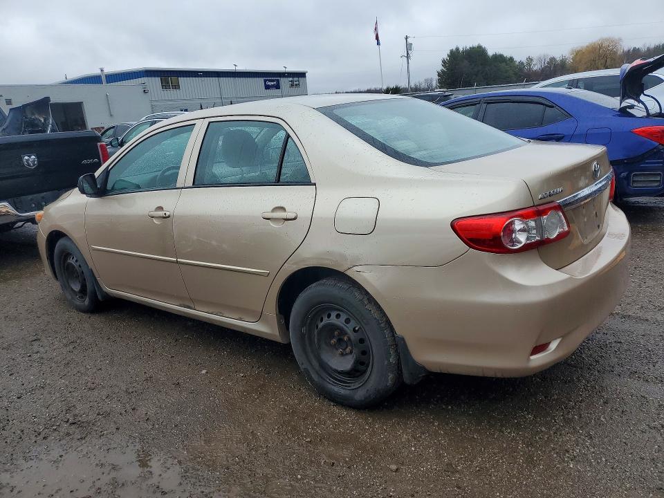 49301536 :رقم المزاد ، 2T1BU4EE6BC709503 vin ، 2011 Toyota Corolla مزاد بيع