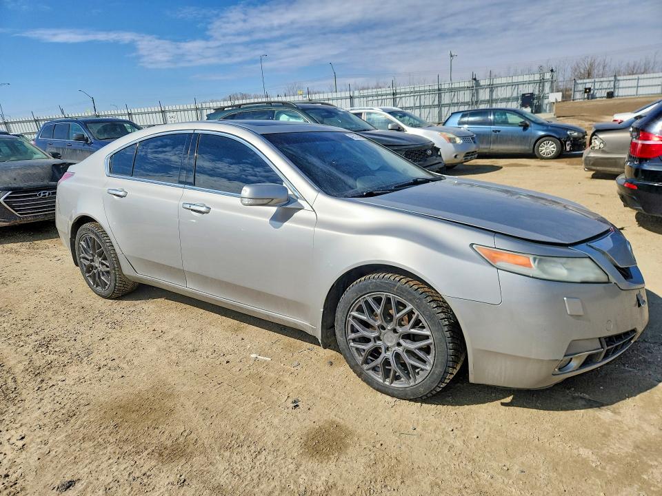 Продажа на аукционе авто 2011 Acura Tl, vin: 19UUA9F59BA800185, номер лота: 49573946