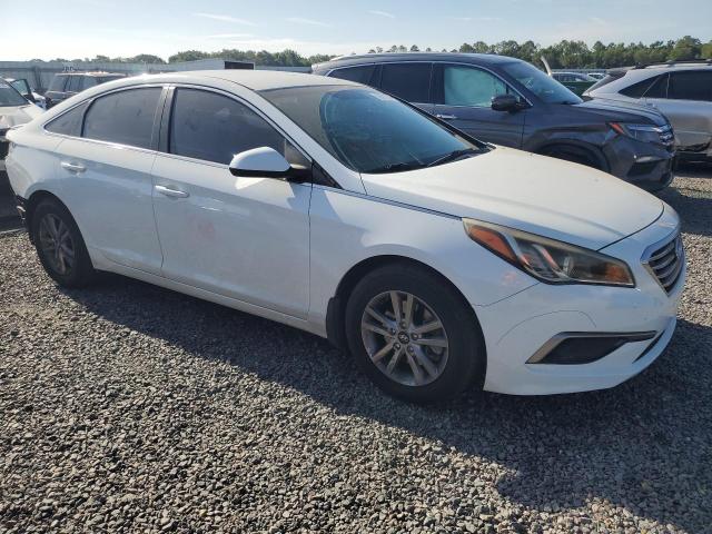 Продажа на аукционе авто 2016 Hyundai Sonata, vin: 5NPE24AF2GH294833, номер лота: 50571976