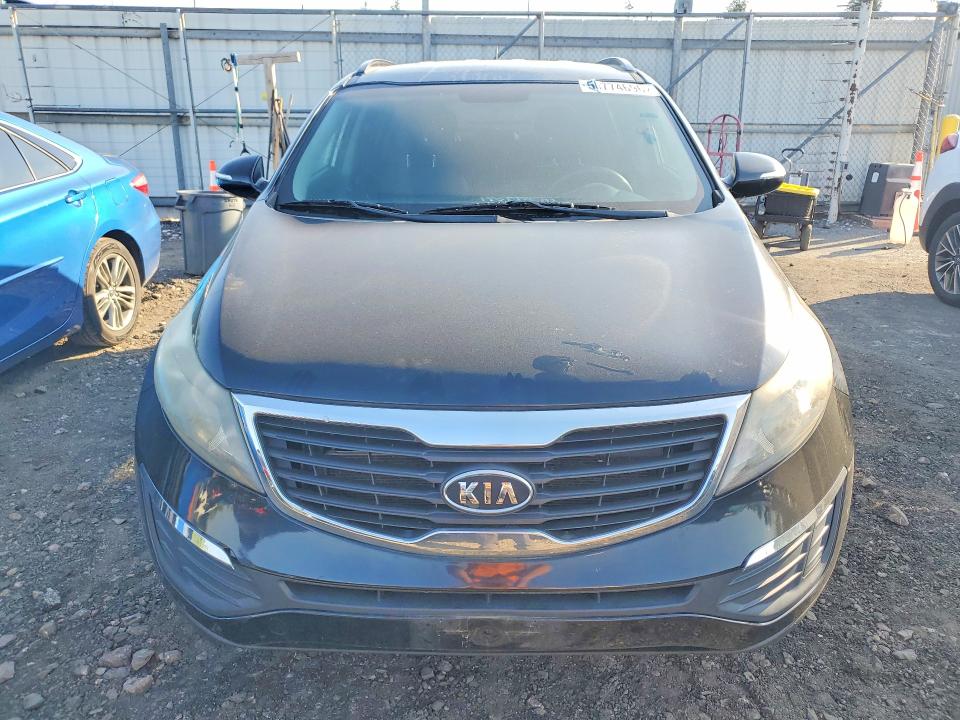 Продаж на аукціоні авто 2011 Kia Sportage, vin: KNDPB3A26B7041902, номер лоту: 50774696