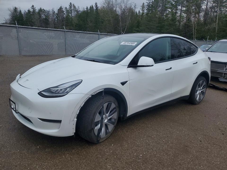Продаж на аукціоні авто 2022 Tesla Model Y, vin: 7SAYGDEE0NF315483, номер лоту: 48764566