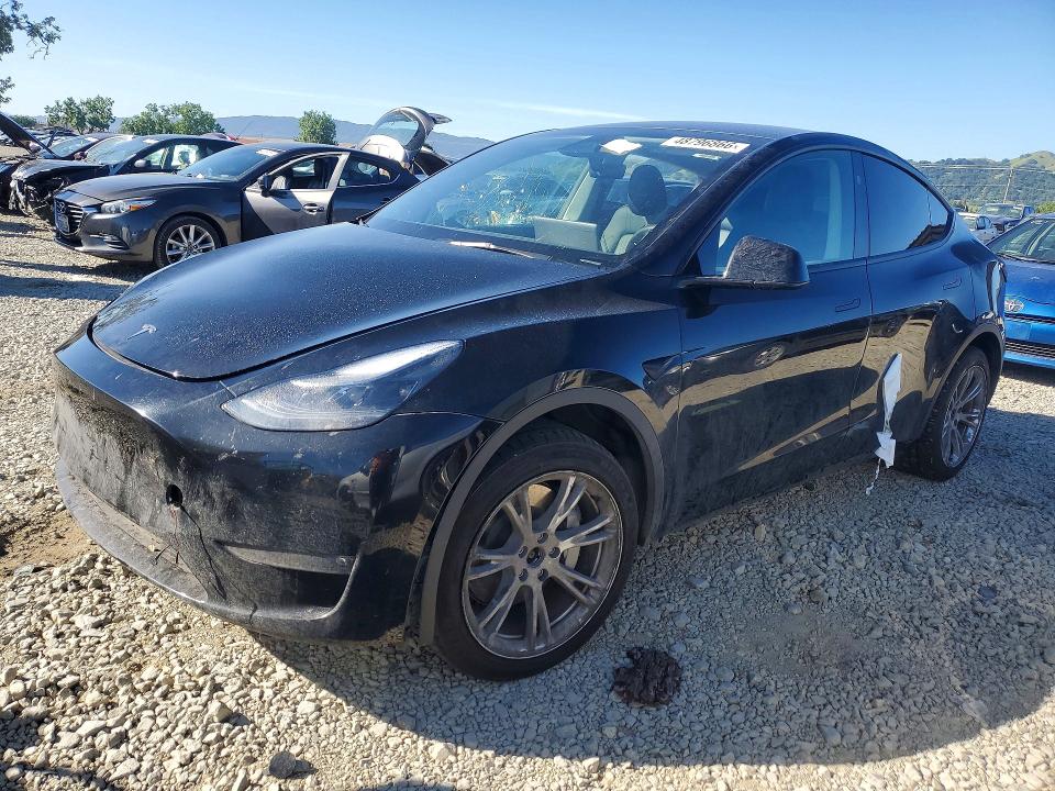 Продаж на аукціоні авто 2023 Tesla Model Y, vin: 7SAYGAEE9PF928669, номер лоту: 48796866