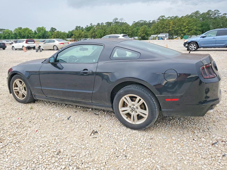2014 Ford Mustang მანქანა იყიდება აუქციონზე, vin: 1ZVBP8AM2E5268432, აუქციონის ნომერი: 50726846