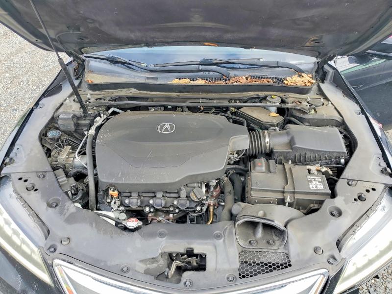 49131056 :رقم المزاد ، 19UUB2F55FA002843 vin ، 2015 Acura Tlx مزاد بيع