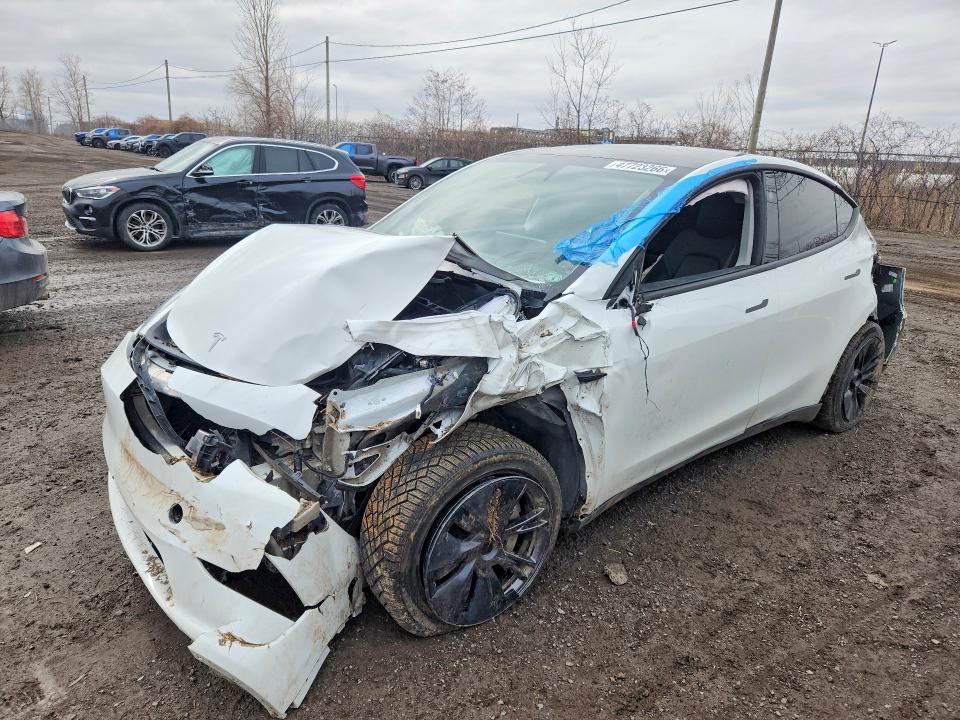 Продажа на аукционе авто 2024 Tesla Model Y, vin: 7SAYGDEE3RF109676, номер лота: 47723266