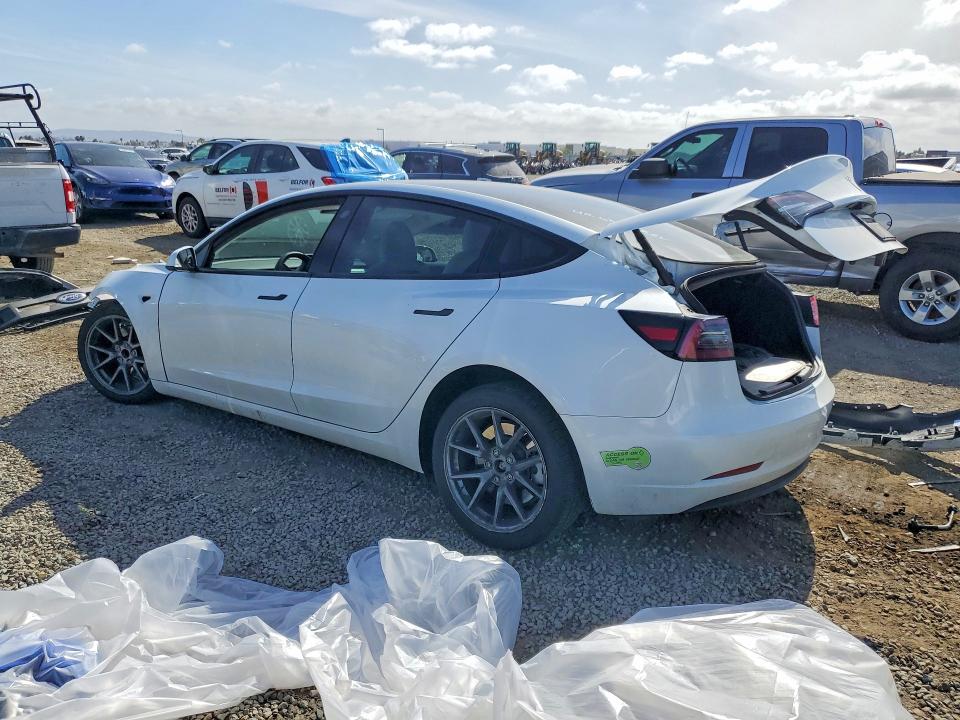 Продаж на аукціоні авто 2023 Tesla Model 3, vin: 5YJ3E1EA9PF607502, номер лоту: 50811476
