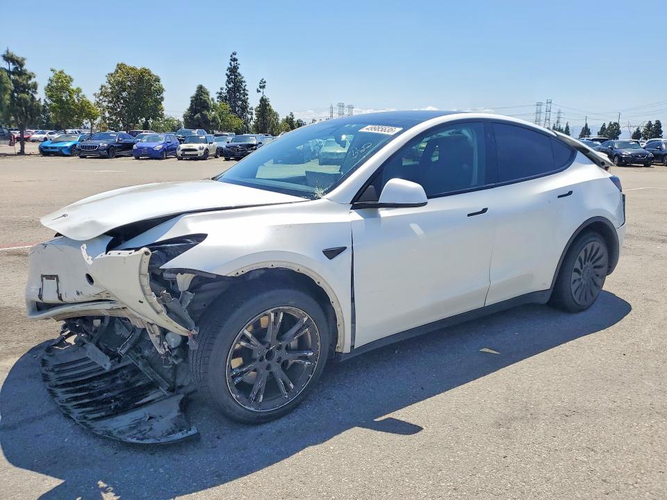 49985636 :رقم المزاد ، 5YJYGDED5MF105920 vin ، 2021 Tesla Model Y مزاد بيع
