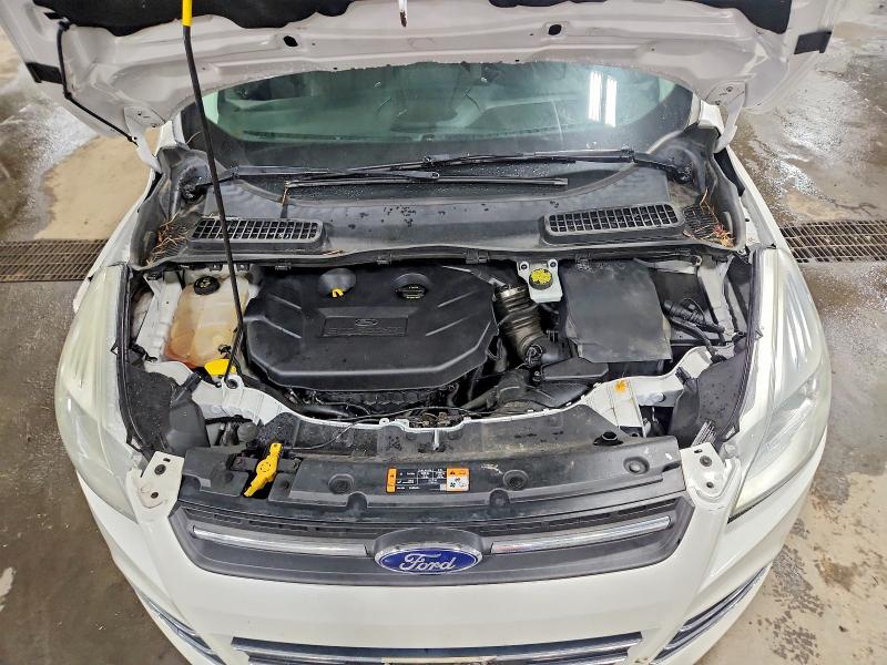 51568916 :رقم المزاد ، 1FMCU9G99GUC02537 vin ، 2016 Ford Escape مزاد بيع