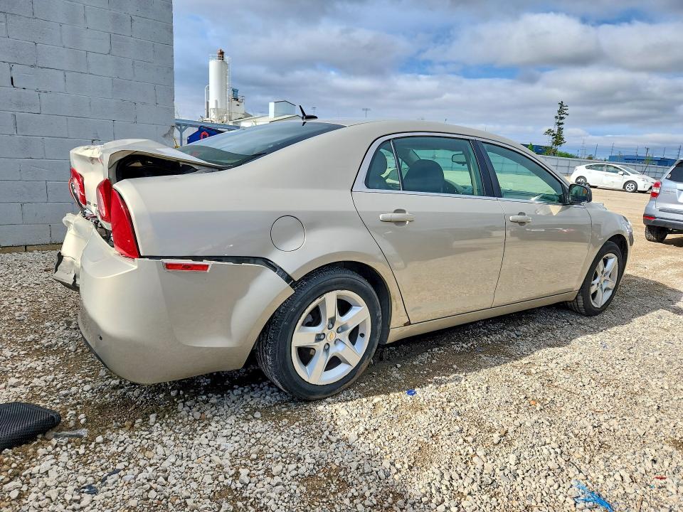 51496306 :رقم المزاد ، 1G1ZA5EU6BF286510 vin ، 2011 Chevrolet Malibu مزاد بيع
